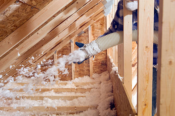 Best Blown-In Insulation  in St Michael, MN